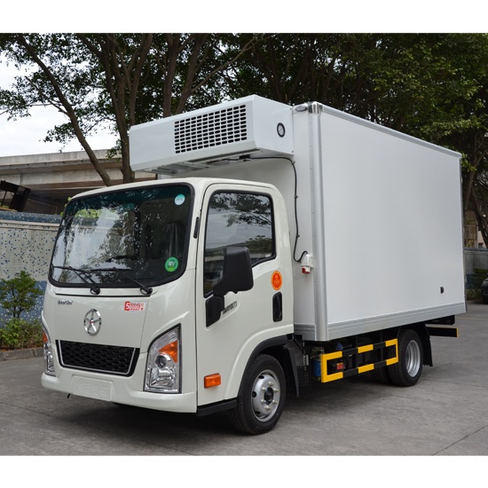 Customize Ice Cream Freezer Truck Body (-40℃ to -20℃)