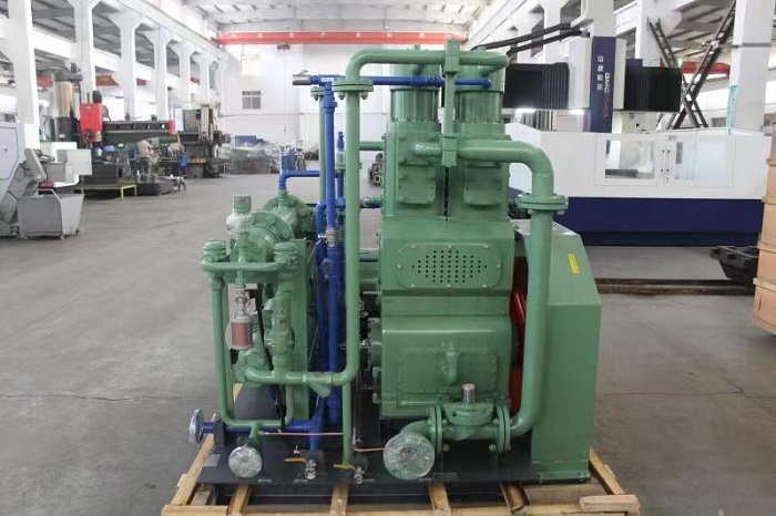 High quality oil-free Fluoride fluoroethylene piston compressor