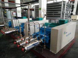 4500L/h 250bar High Pressure Reciprocating LNG Pumps for CNG Refueling Stations