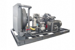 Natural Gas Compressors Air-cooling Piston CNG Compressors