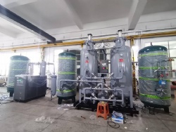 Onsite PSA Nitrogen Plant Automatic N2 Gas Generator Manufacturer